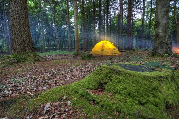 Camping Pour Enfant